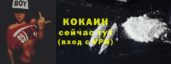 шишки Володарск