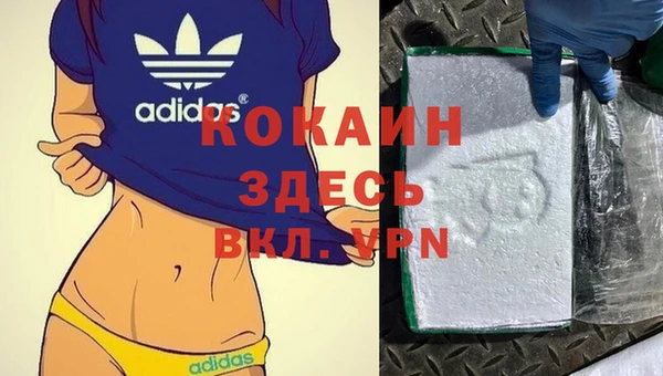шишки Володарск