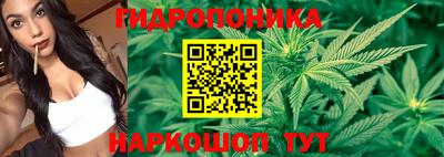 крисы Абинск