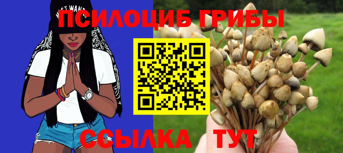 Псилоцибиновые грибы GOLDEN TEACHER Северобайкальск