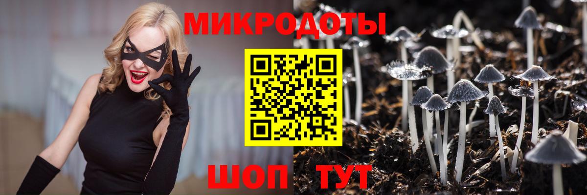 Галлюциногенные грибы мухоморы  Вход с VPN  Псилоцибиновые грибы Psilocybine cubensis  Северобайкальск 